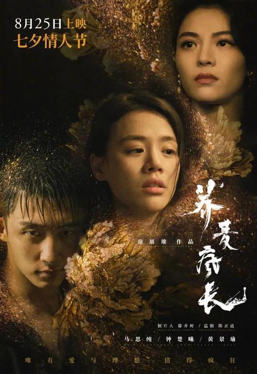 办假的中国结婚证